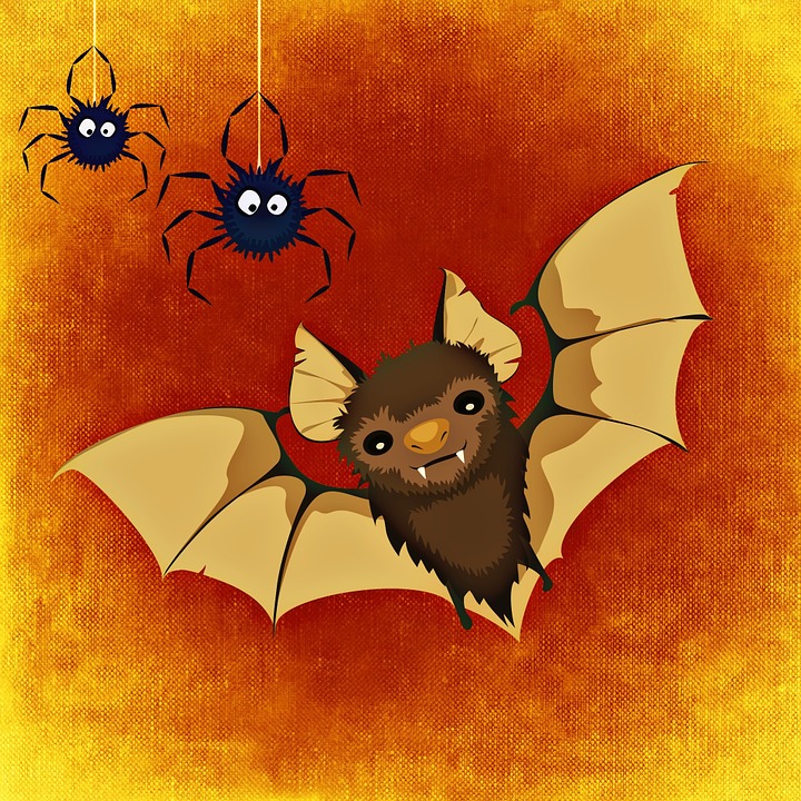 bat, spider, happy halloween