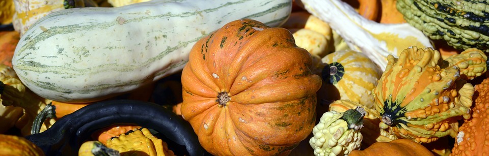 pumpkin, gourd, autumn