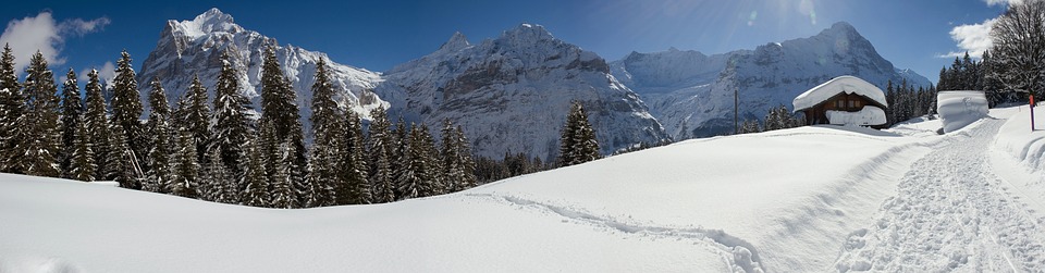 panorama, winter, grindelwald
