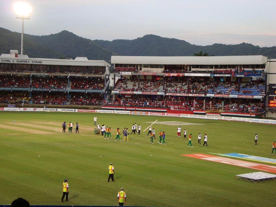 cricket, field, stadium