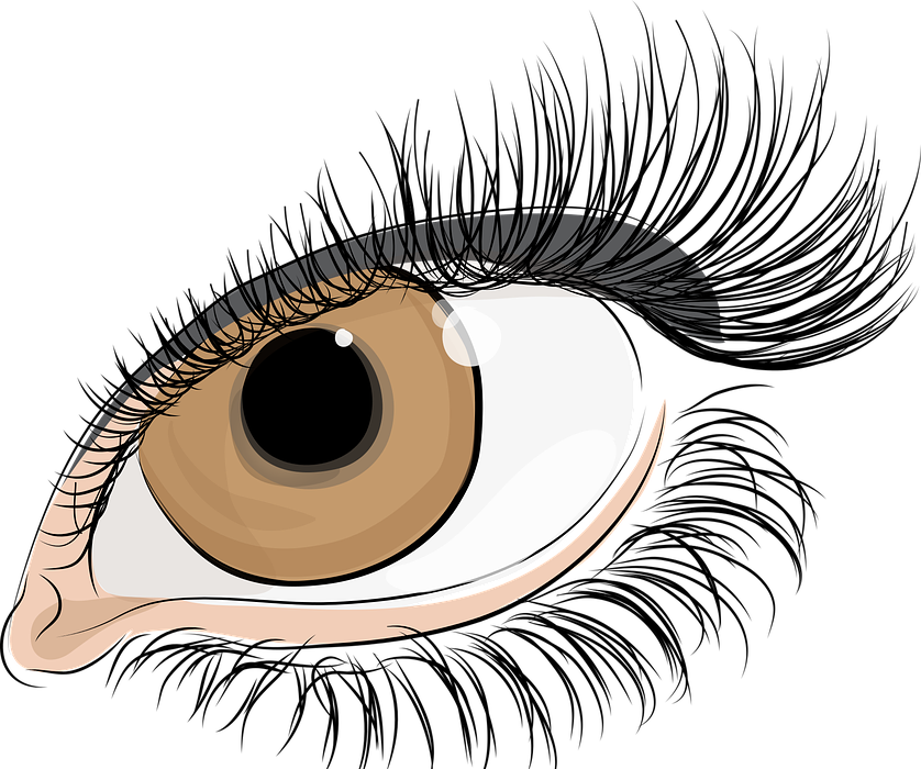 the eye of women, eyelashes, the iris of the eye