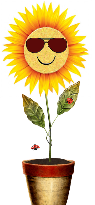 sunflower, face, smile