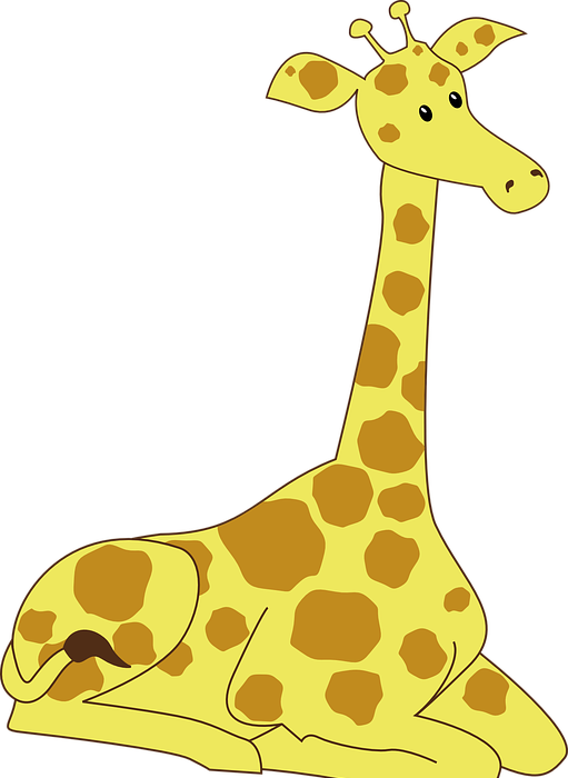 giraffe, male, nature