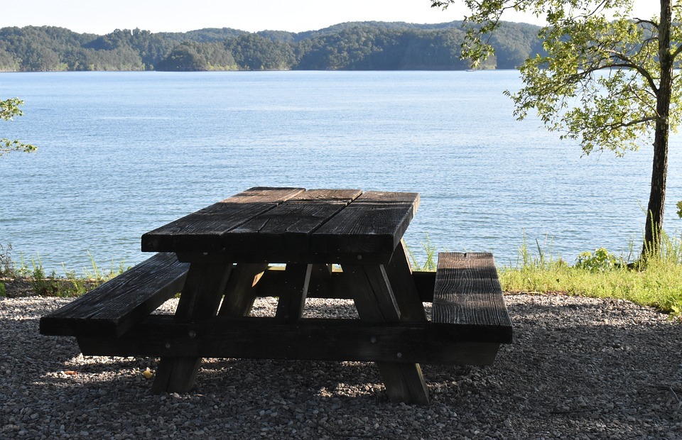 picnic, picnic table, outdoor lunch