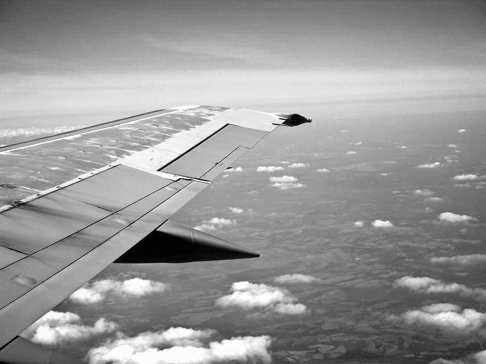 wing, flying, airplane