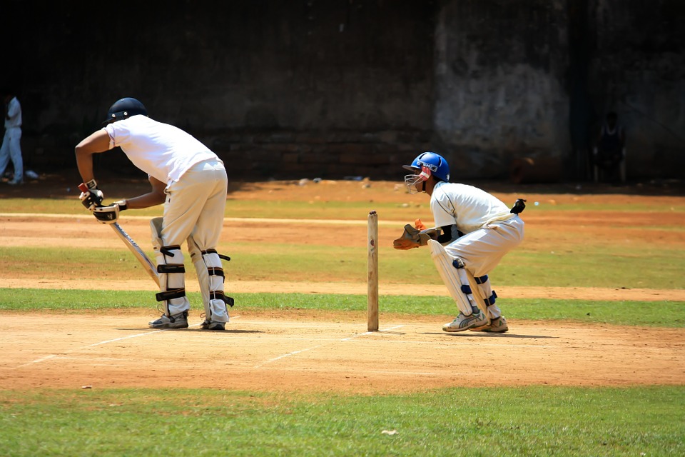cricket, practice, field