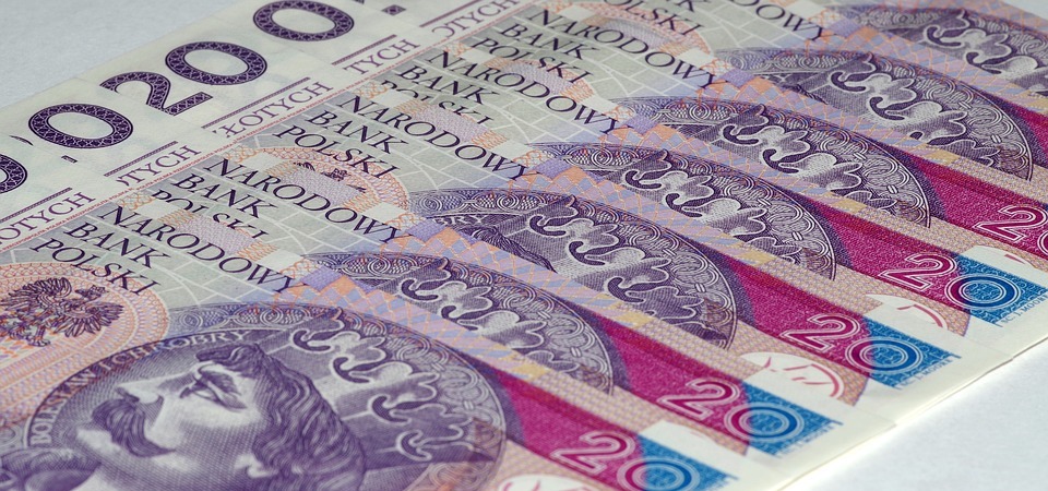money, euro banknotes, polish zloty