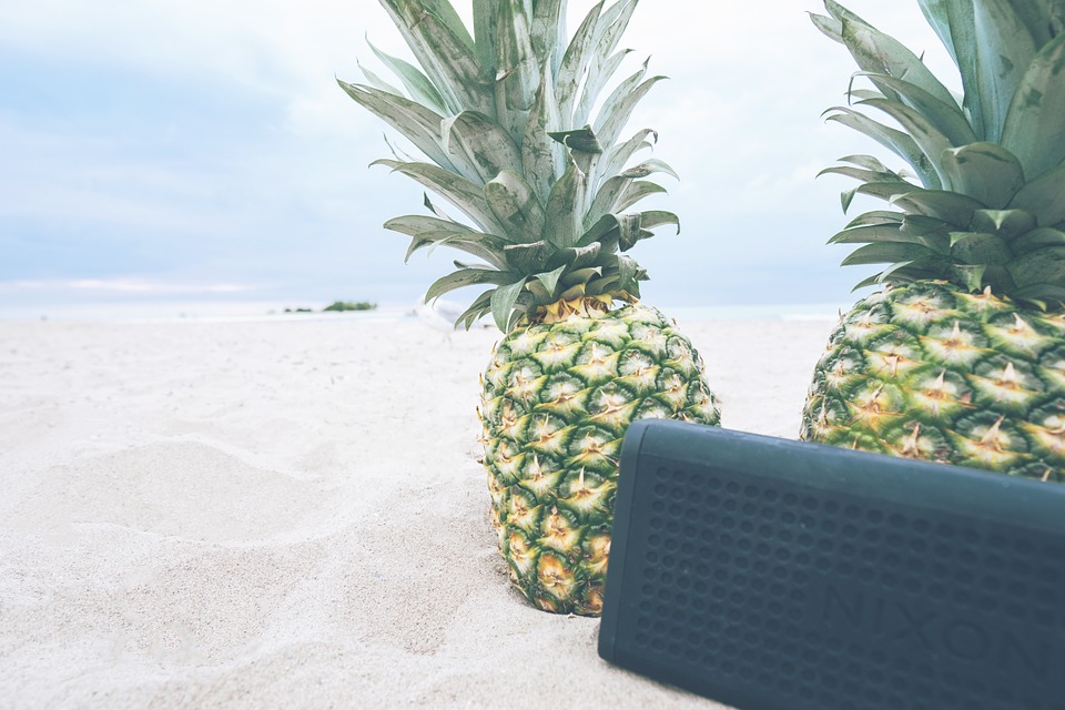 pineapples, beach, picnic