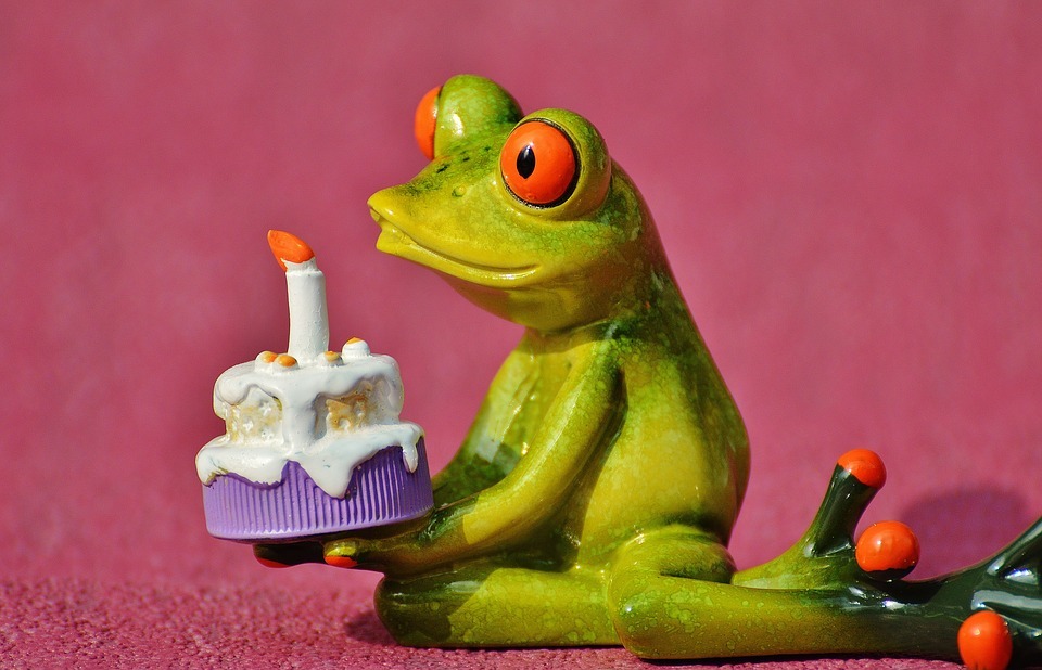 Happy Birthday Free Images | Everypixel