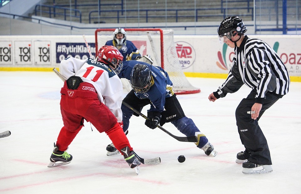 hockey, slavia, skater