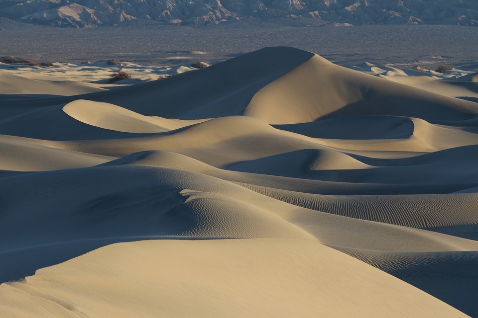 desert, sand, sand dunes