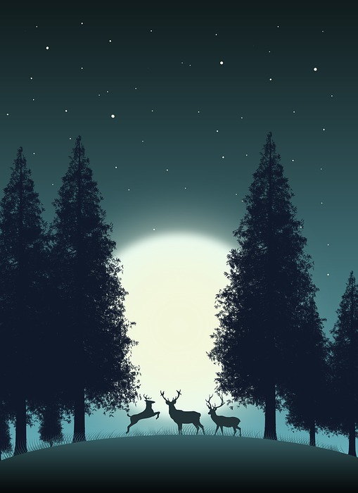 Free moon deer Images Search Free Images on Everypixel