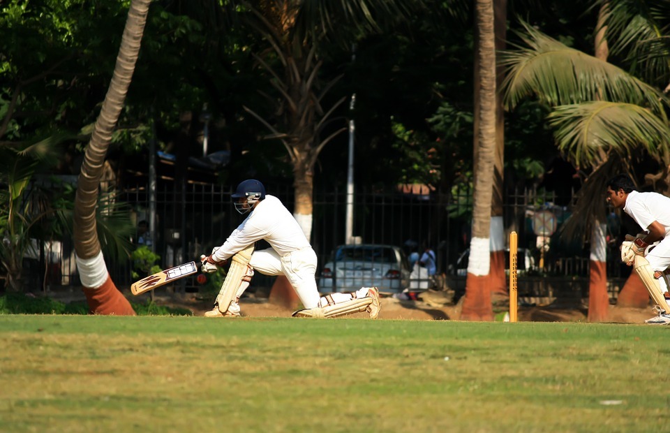 wicketkeeper, cricket, batsman