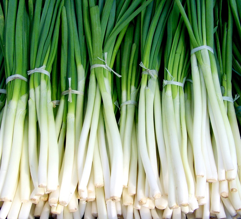 green onion, spring onions, vegetables
