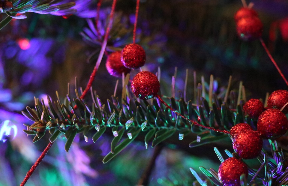 holidays, christmas tree, festive