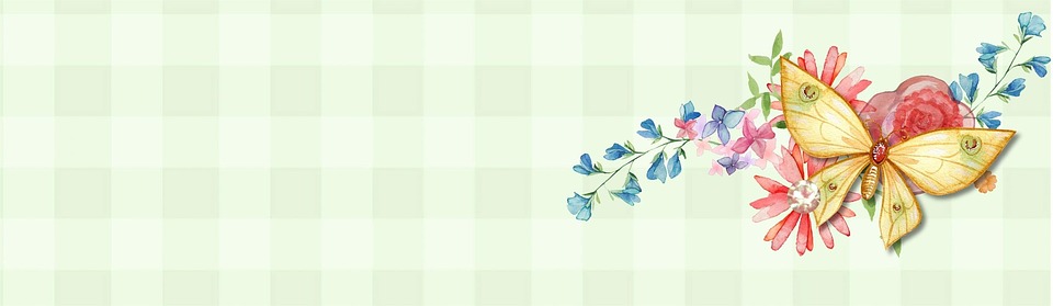 flower, butterfly, banner