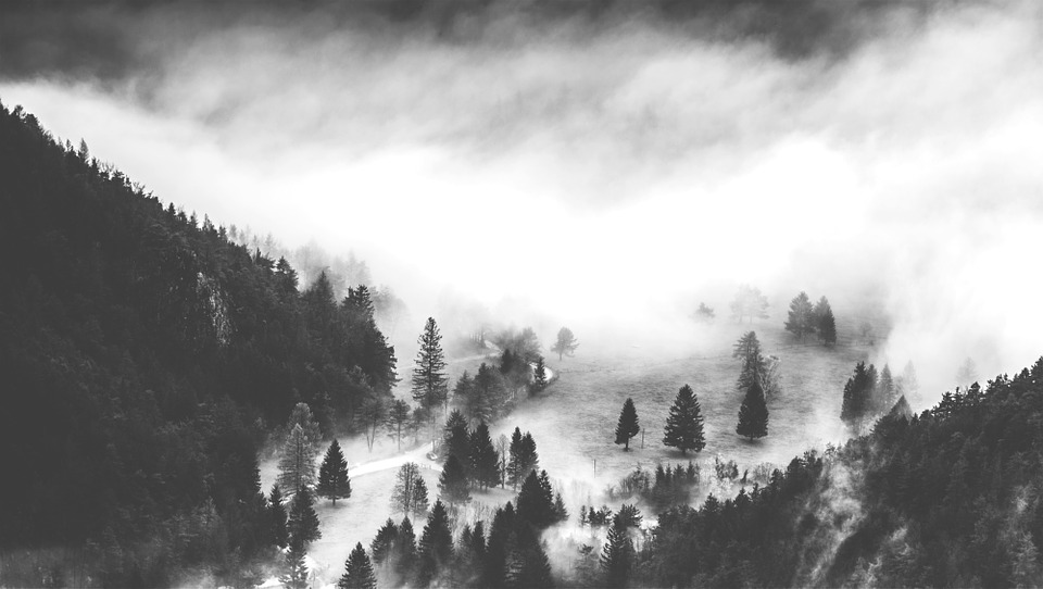 valley, fog, wafts
