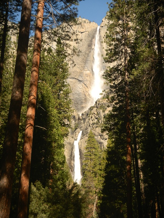 waterfall, redwoods, redwood trees