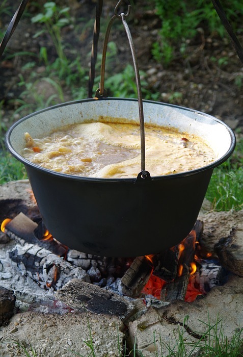 stew, soup, picnic