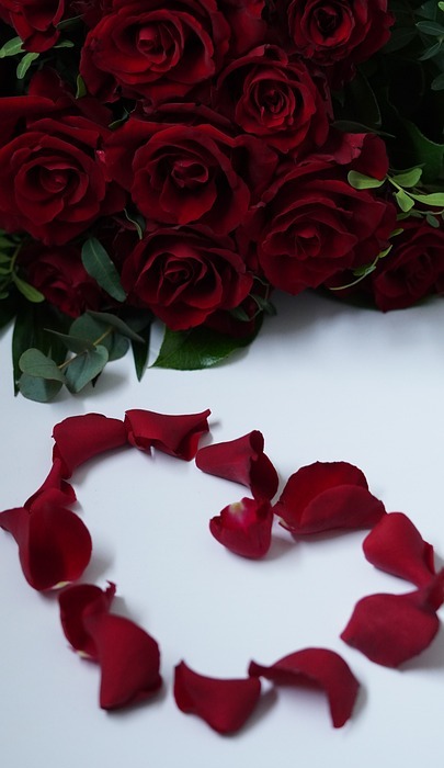 valentine's day, heart, red roses