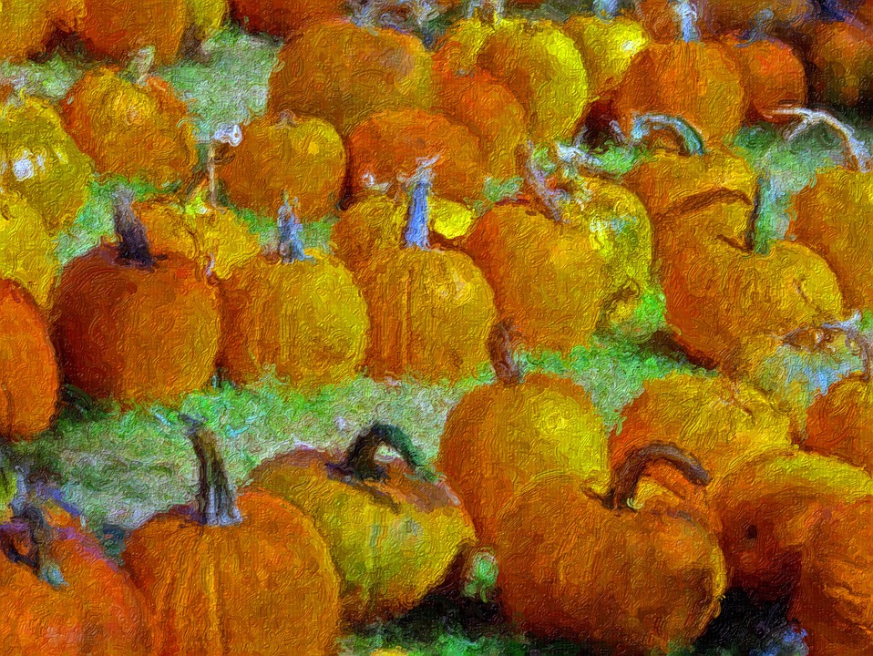 pumpkins, autumn, thanksgiving