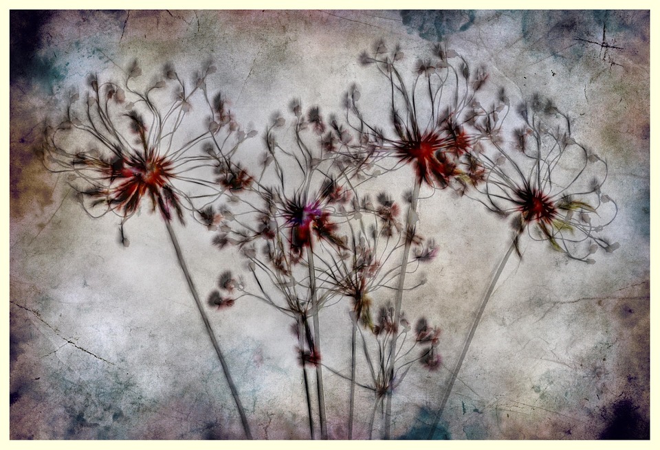texture, dried flowers, composing