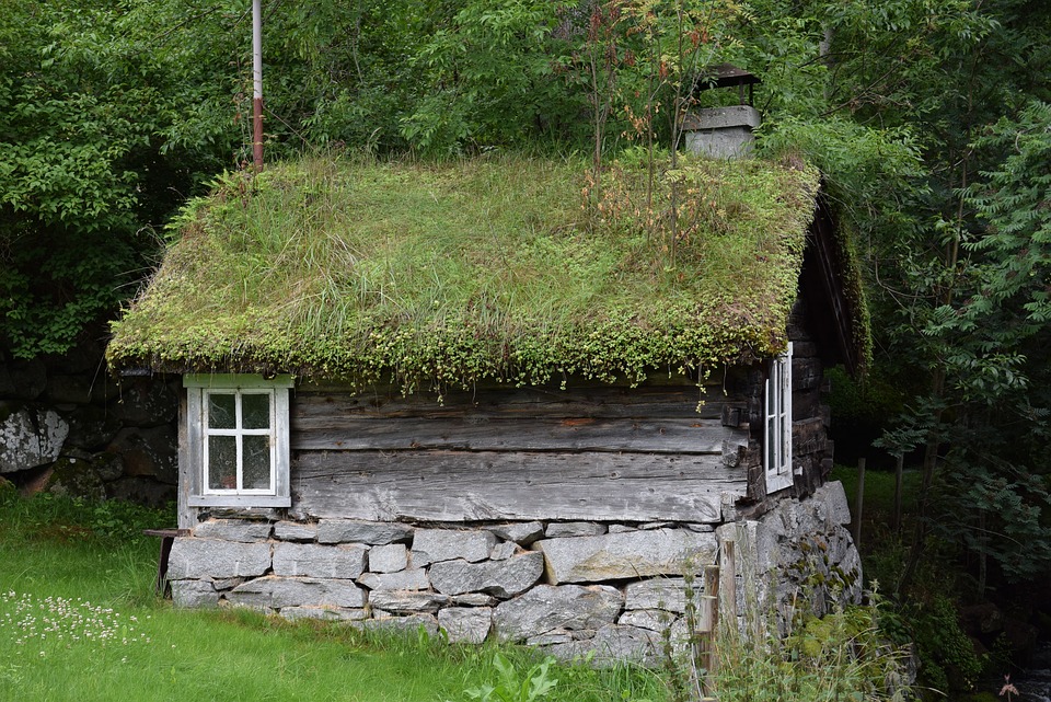 home, hut, garden shed