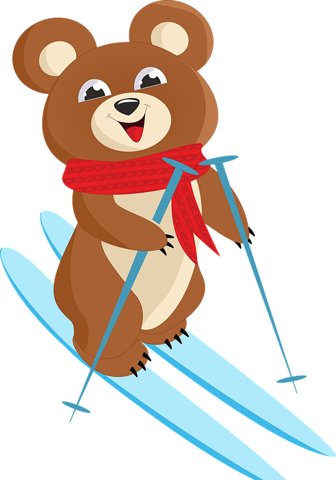 skiing, skiing bear, cartoon bear