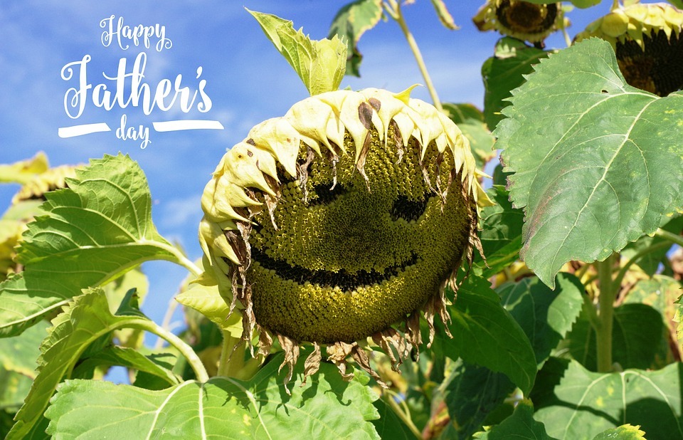 father's day, sunflower, happy