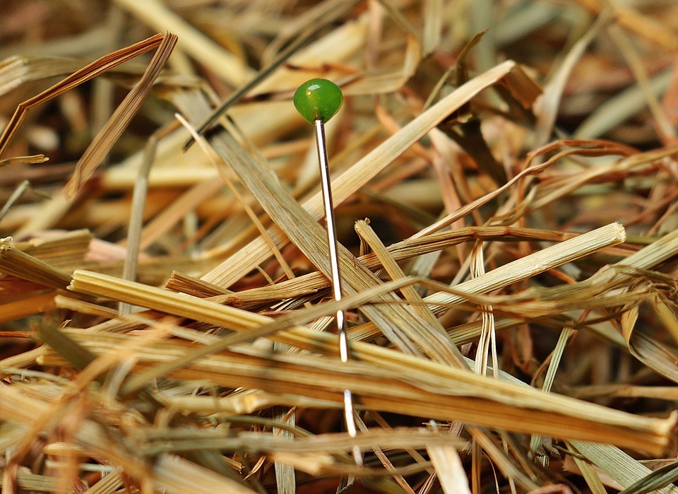 needle in a haystack, needle, haystack
