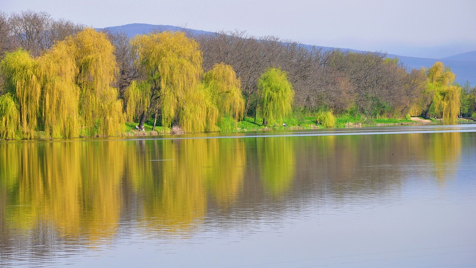 spring, lake, nature