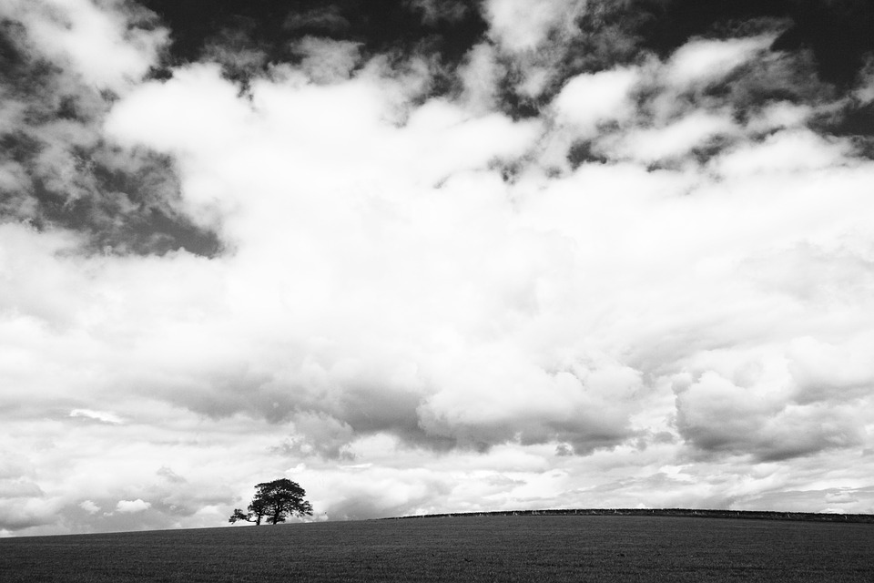 skyscape, clouds, lone tree
