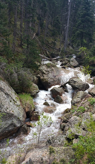 fast forest river . endless stream. .  boulders.