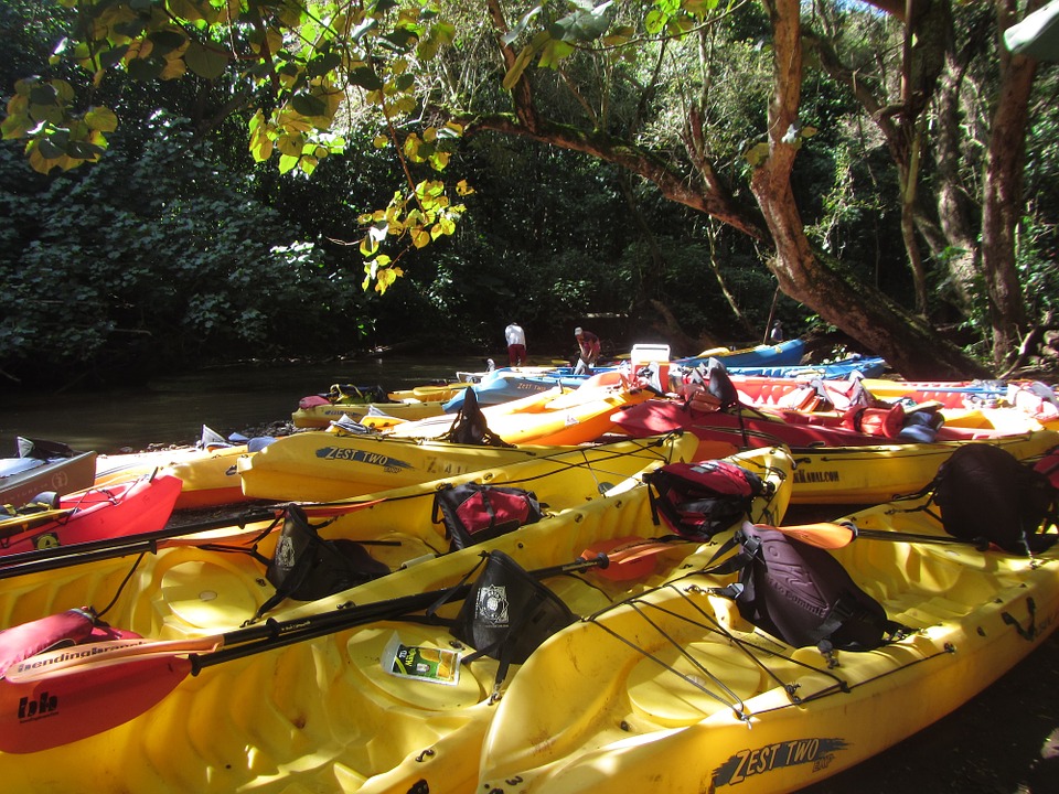 kayak, river, wailua river