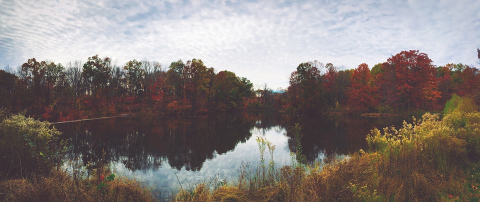 lake, pond, autumn