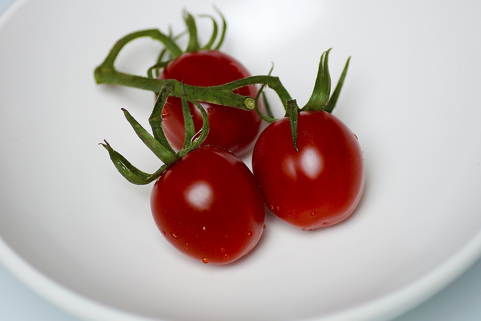 bush tomatoes, bless you, mediterranean