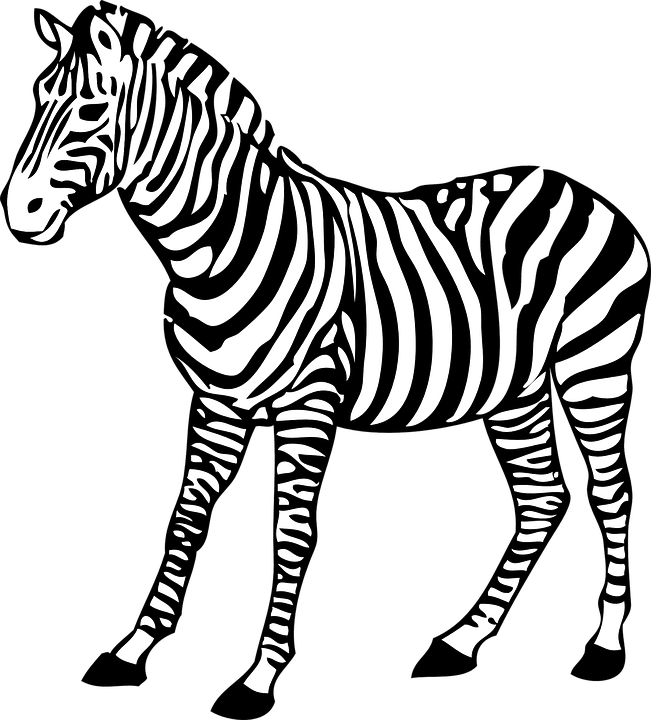 zebra, stripes, hooves