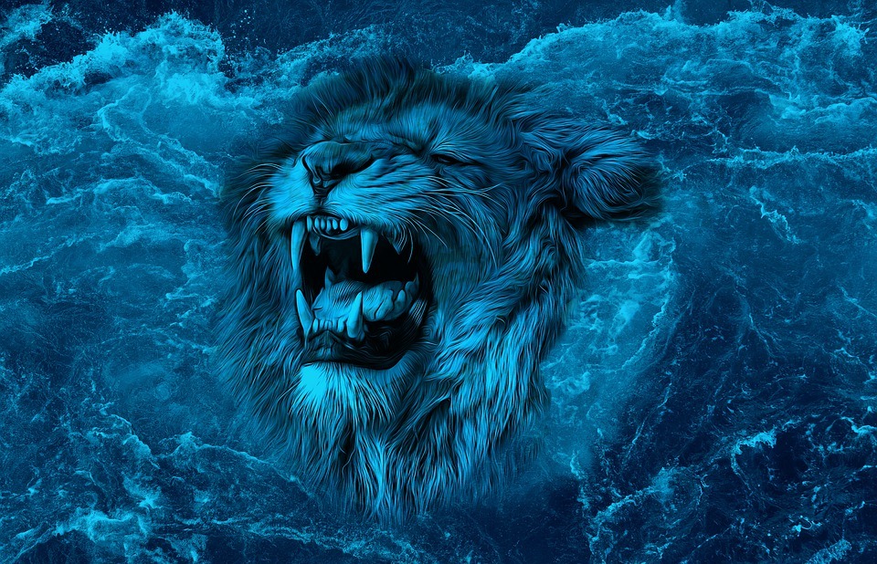 lion, roar, sea