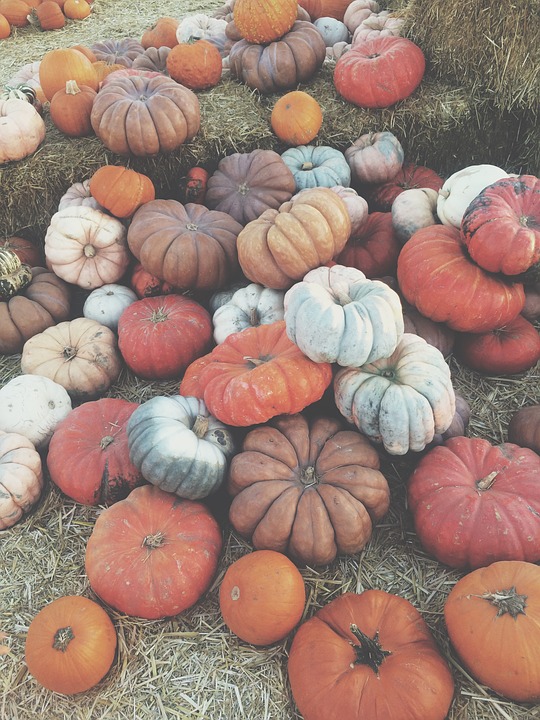 vegetables, halloween, pumpkin