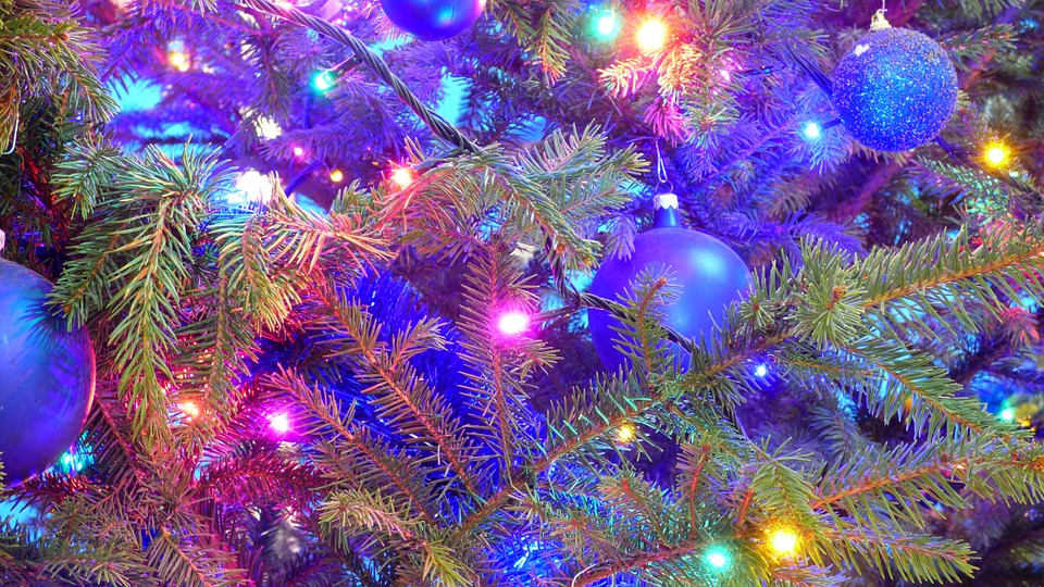 christmas tree, holidays, twigs