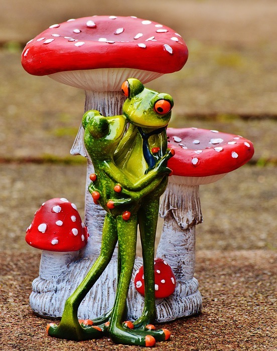 valentine's day, love, frogs