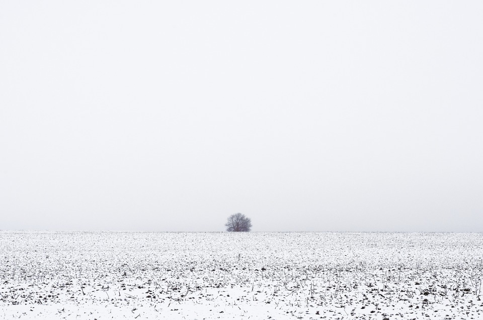 winter, landscape, frost