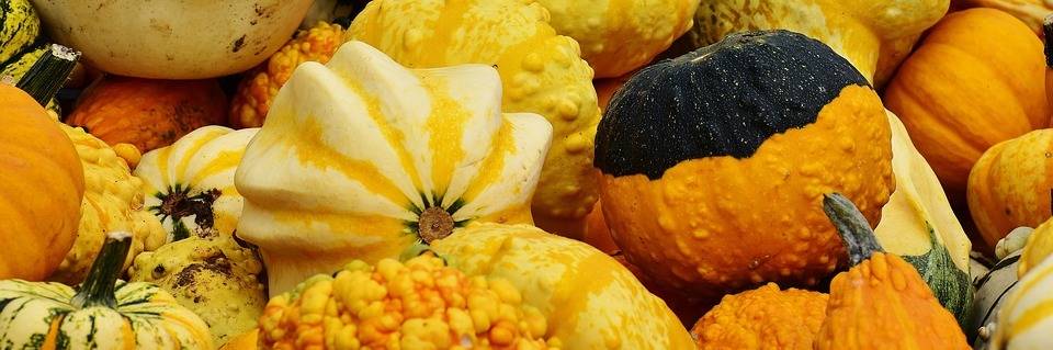 pumpkins, autumn, autumn decoration