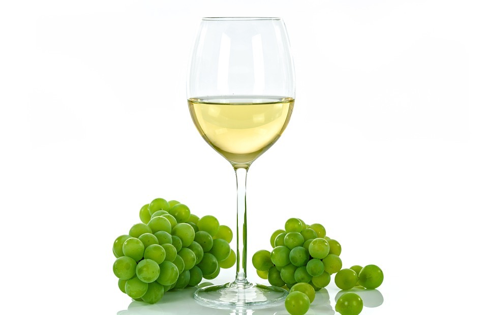 white wine, cup, glass