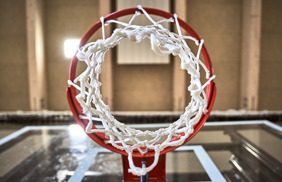 sports, basketball, basket