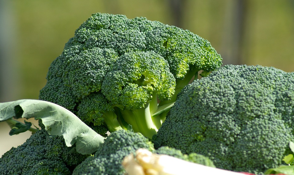 vegetables, broccoli, cabbage