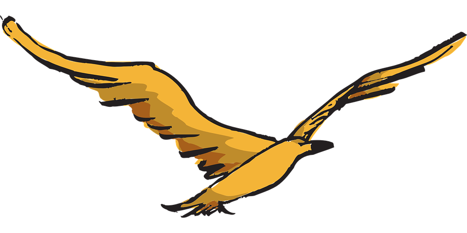 yellow, bird, flying