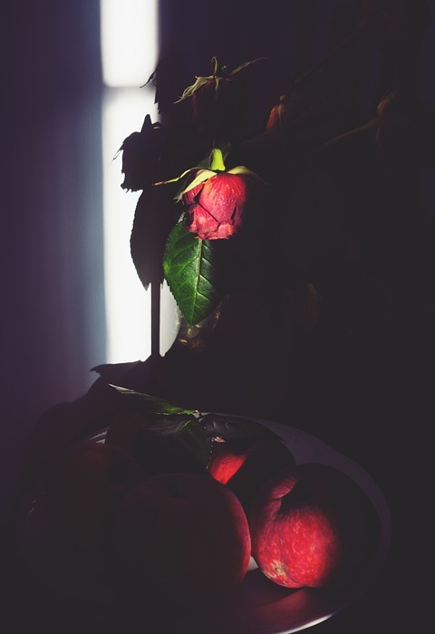 rose, shadows, apple