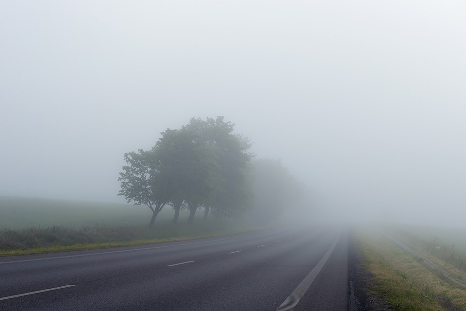 misty, road, fog