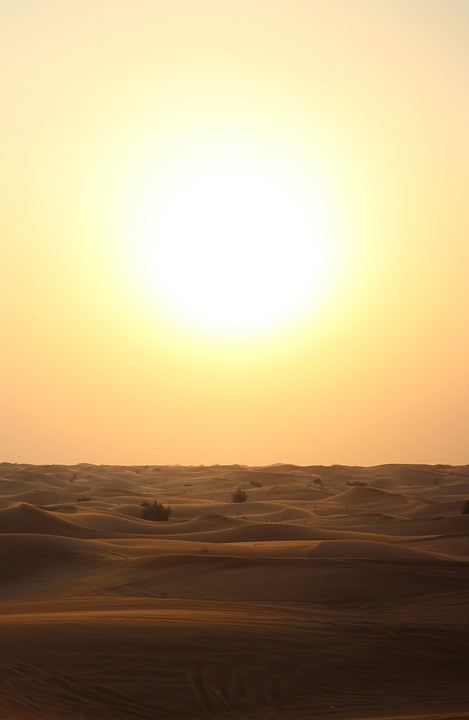 desert landscape, sunset, desert